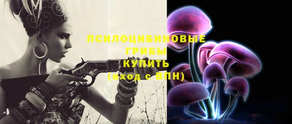 винт Алексеевка