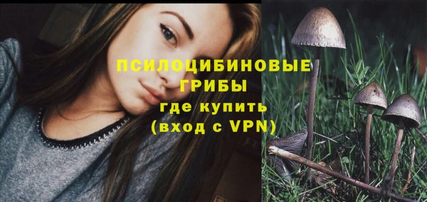 а пвп мука Алзамай
