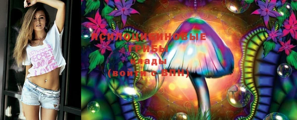 винт Алексеевка