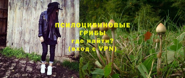 дмт Алексин