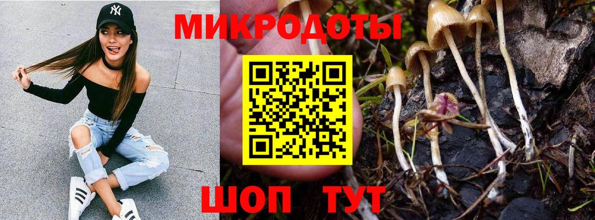 Галлюциногенные грибы Psilocybine cubensis  Вход с VPN  Урюпинск  Псилоцибиновые грибы Psilocybine cubensis 