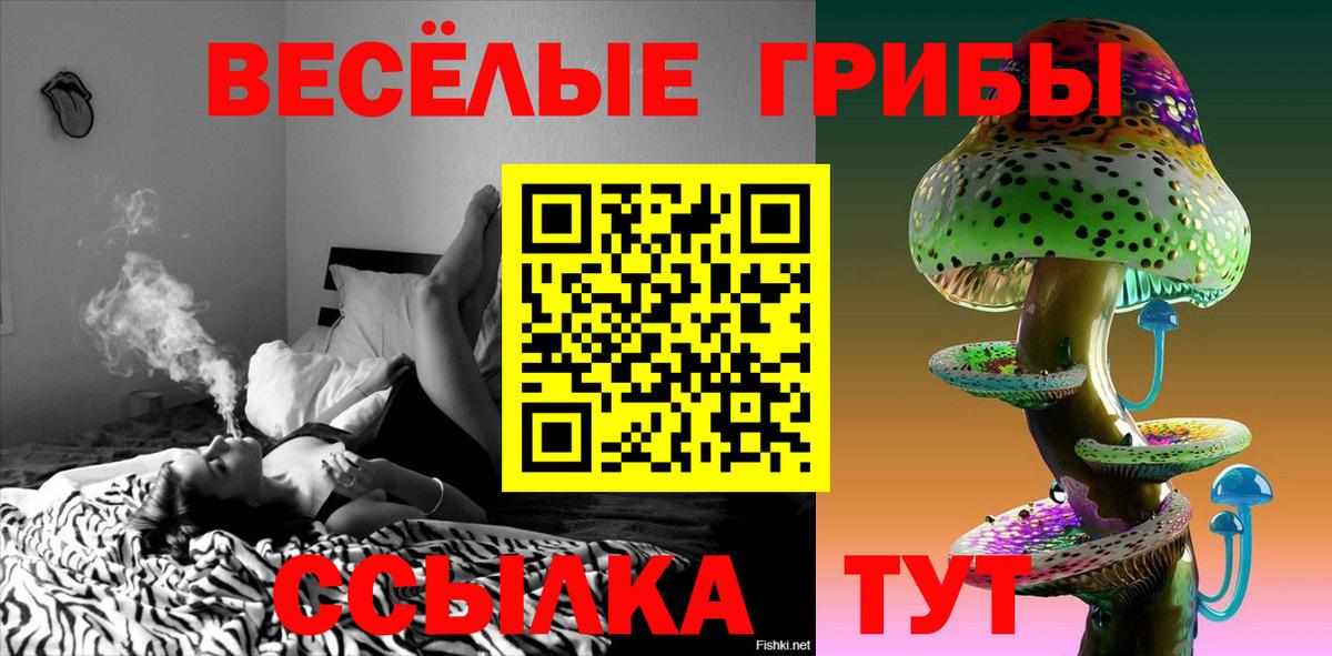 Псилоцибиновые грибы Psilocybe Урюпинск